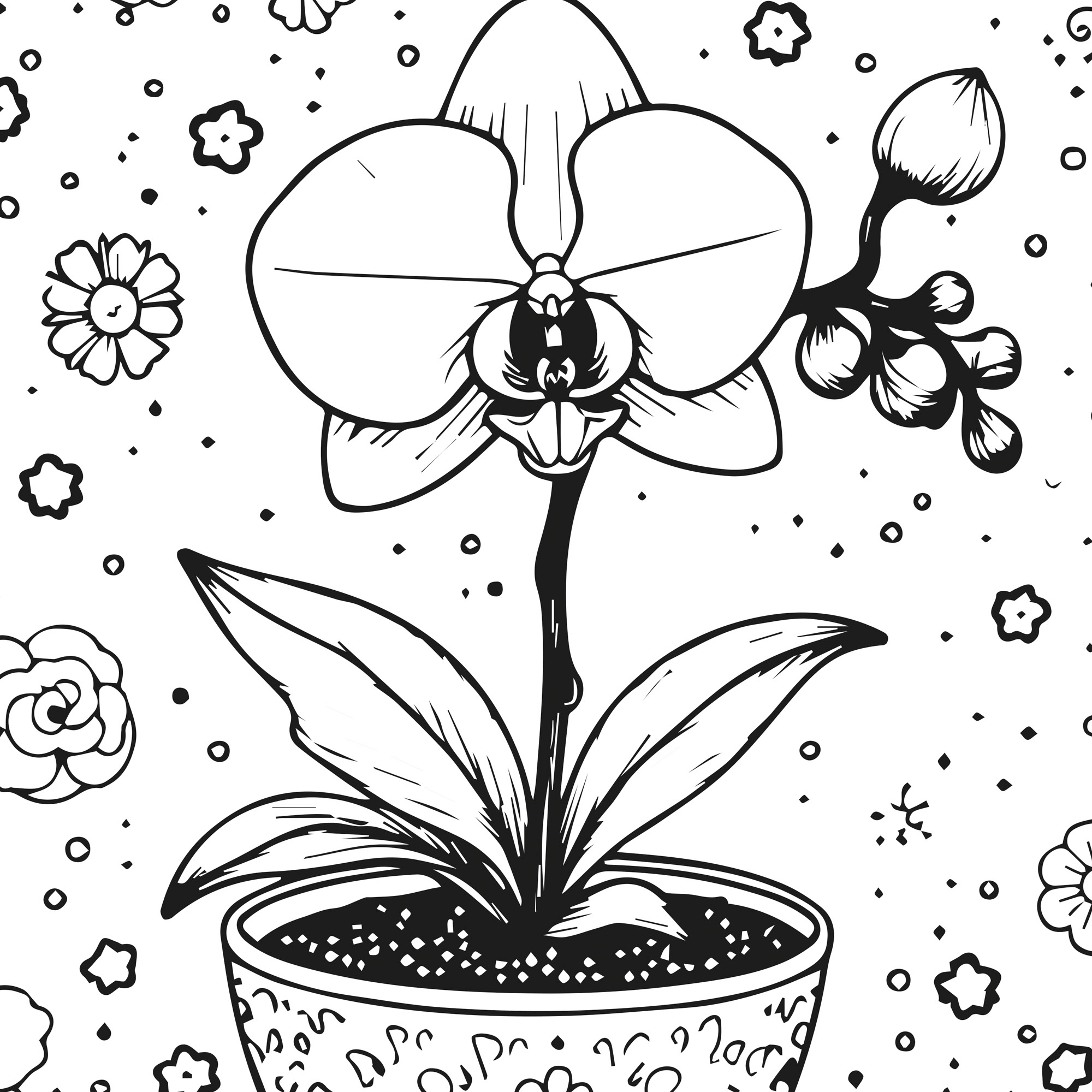 Coloring sheet - Pot Beauty (80 cm by 60 cm) - 3 sheets - Image 4