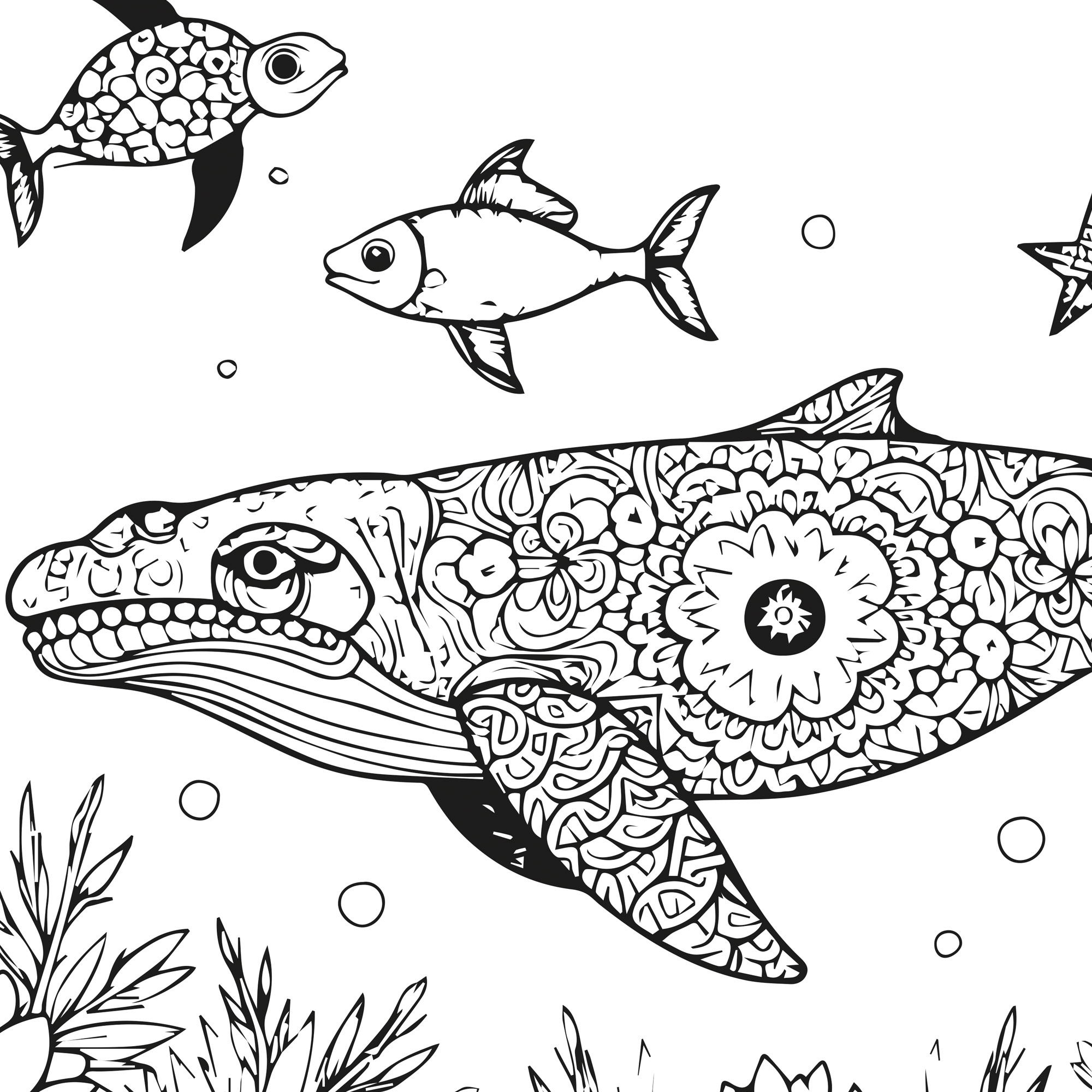 Coloring sheet - Sea Beauty (80 cm by 60 cm) - 3 sheets - Image 4