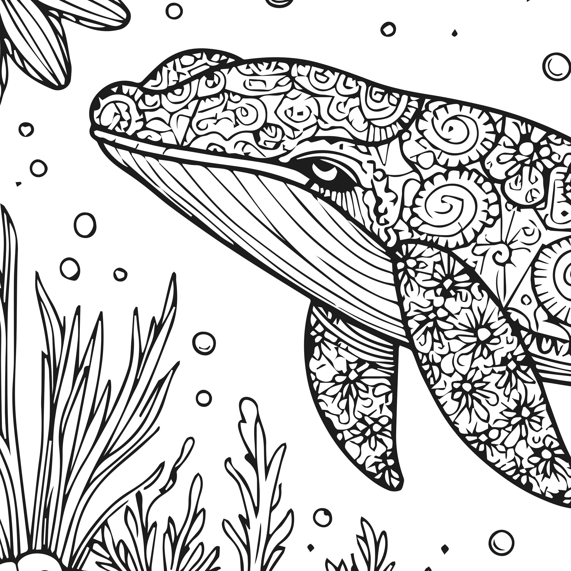 Coloring sheet - Sea Beauty (80 cm by 60 cm) - 3 sheets - Image 5