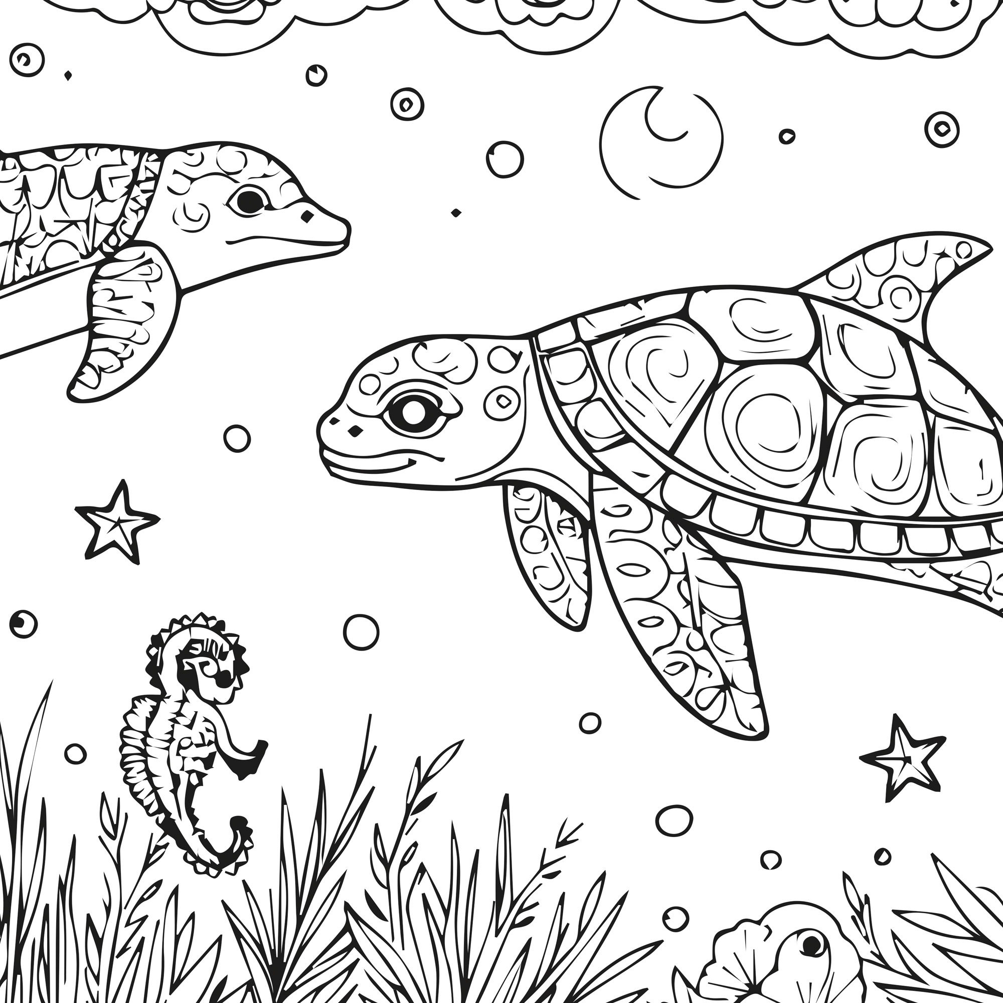 Coloring sheet - Sea Beauty (80 cm by 60 cm) - 3 sheets - Image 6